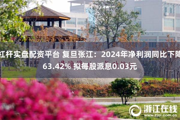 杠杆实盘配资平台 复旦张江：2024年净利润同比下降63.42% 拟每股派息0.03元