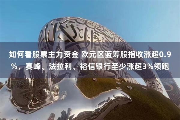 如何看股票主力资金 欧元区蓝筹股指收涨超0.9%，赛峰、法拉利、裕信银行至少涨超3%领跑