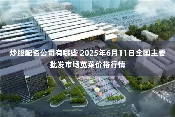 炒股配资公司有哪些 2025年6月11日全国主要批发市场苋菜价格行情