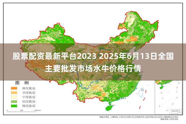 股票配资最新平台2023 2025年6月13日全国主要批发市场水牛价格行情