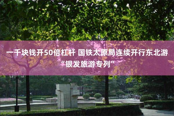 一千块钱开50倍杠杆 国铁太原局连续开行东北游“银发旅游专列”