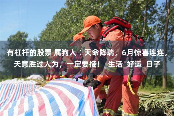 有杠杆的股票 属狗人∶天命降瑞，6月惊喜连连，天意胜过人为，一定要接！_生活_好运_日子