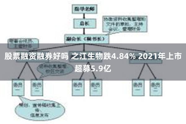 股票融资融券好吗 之江生物跌4.84% 2021年上市超募5.9亿