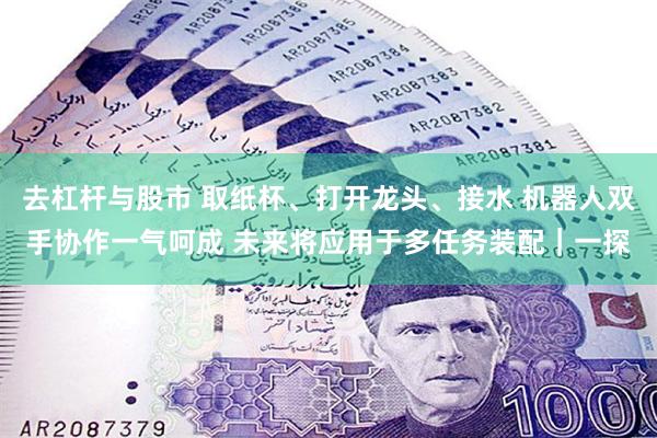 去杠杆与股市 取纸杯、打开龙头、接水 机器人双手协作一气呵成 未来将应用于多任务装配｜一探