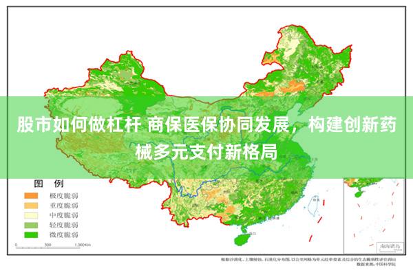 股市如何做杠杆 商保医保协同发展，构建创新药械多元支付新格局