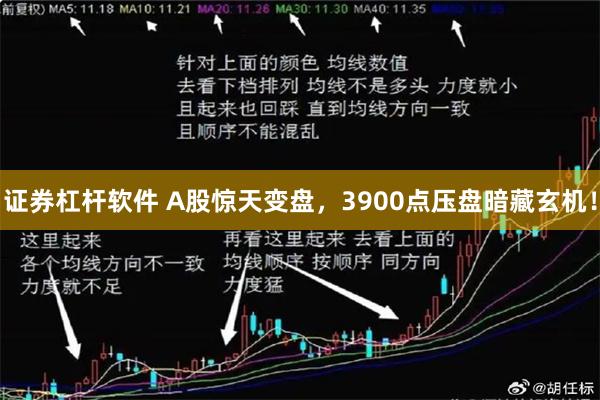 证券杠杆软件 A股惊天变盘，3900点压盘暗藏玄机！